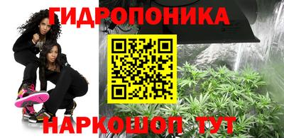 мдма Сланцы