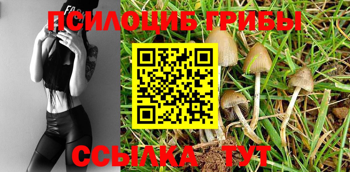 Псилоцибиновые грибы ЛСД Назарово